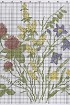 Схема для вышивки - полевые цветы