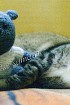 Вязаный медвежонок - сластена Мартин