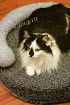Диванчик для кошки