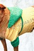Спортивный пуловер с капюшоном