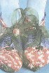 Тапочки-балетки