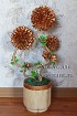 Мастер-класс - Фисташковое дерево