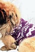 Кофта с норвежским узором