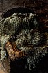 Палантин с бахромой