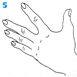 Гимнастика для рук Гимнастика для рук