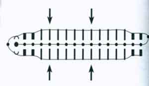 схема вязания прихватки подсолнух схема вязания прихватки подсолнух