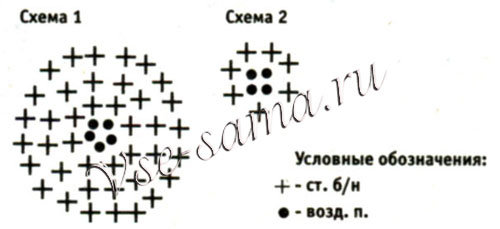 Мозговой слизень, схема