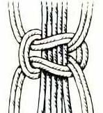 Общий двойной плоский узел, фото Общий двойной плоский узел, фото