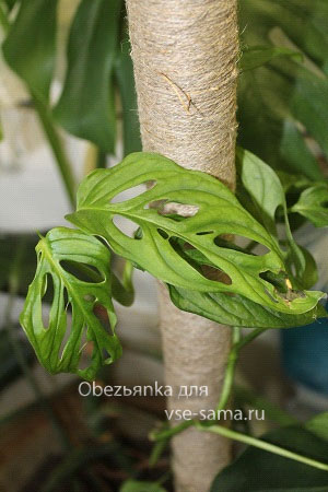 опора готова опора готова