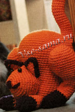 Рыжий кот Рыжий кот