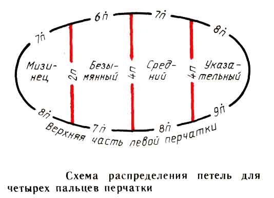 Схема распределения петель для четырех пальцев перчатки Схема распределения петель для четырех пальцев перчатки