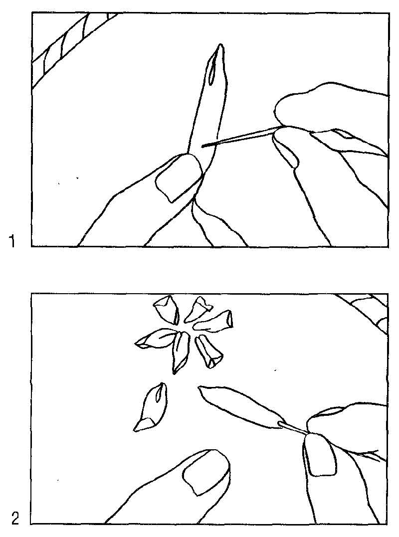 Шов «вытянутый стежок с завитком», вышивание лентами Шов «вытянутый стежок с завитком», вышивание лентами