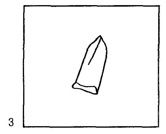 Шов «вытянутый стежок с завитком», вышивание лентами Шов «вытянутый стежок с завитком», вышивание лентами