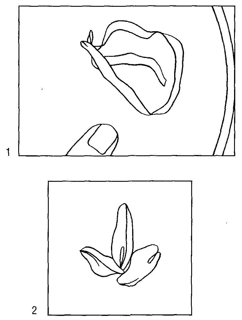 Листочек, вышивание лентами Листочек, вышивание лентами