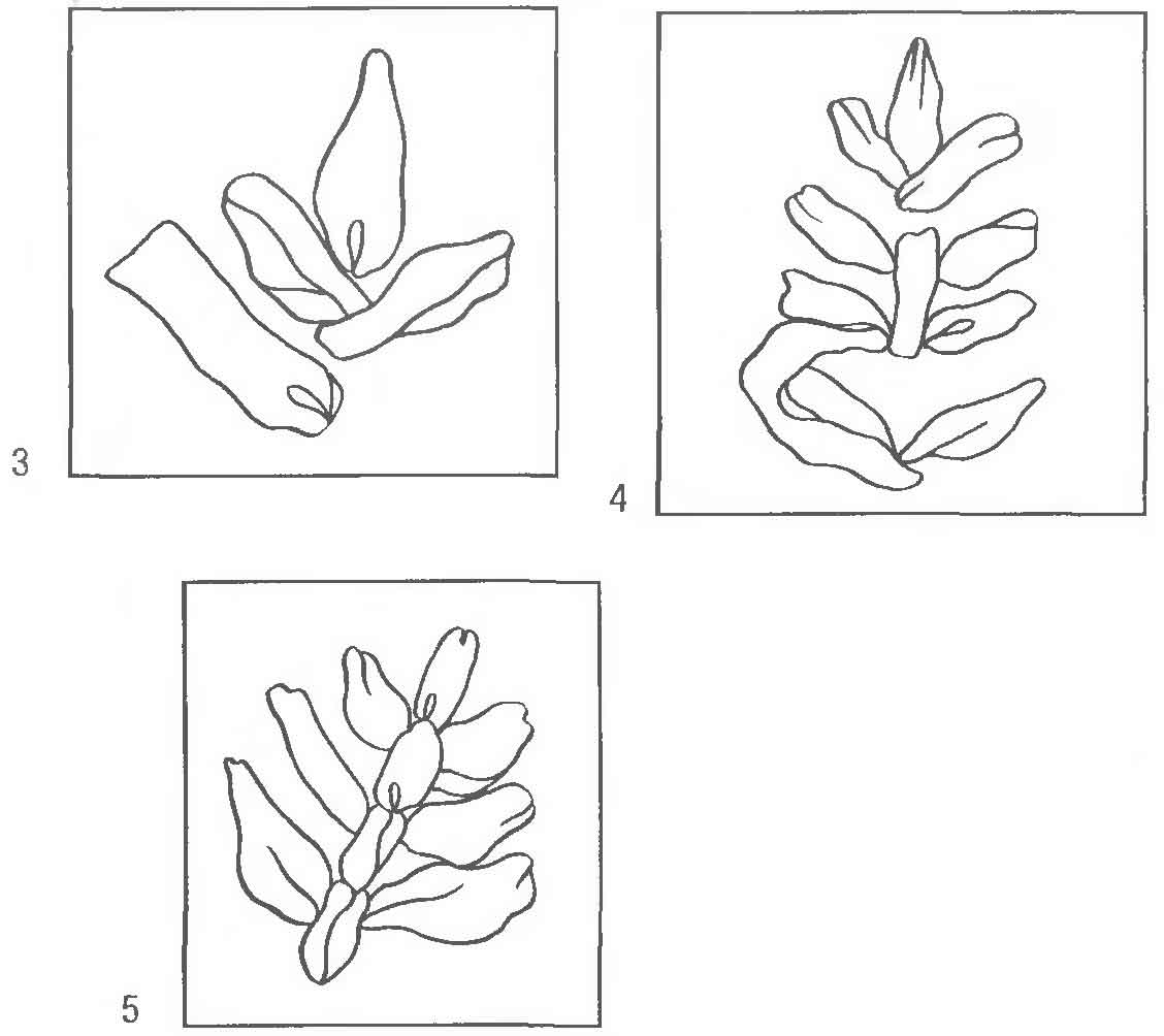 Листочек, вышивание лентами Листочек, вышивание лентами