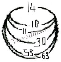 Бутон 1 Бутон 1