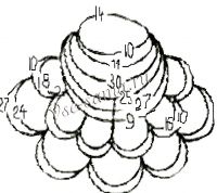 Купавка 2 Купавка 2