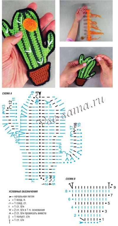 схема кактуса схема кактуса
