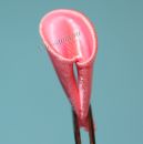 Лепесток канзаши - трубочка или зефирка, 10 Лепесток канзаши - трубочка или зефирка, 10