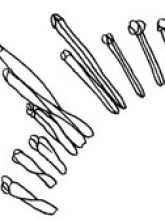 Пестик Пестик