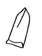 Шов «вытянутый стежок с завитком» Шов «вытянутый стежок с завитком»