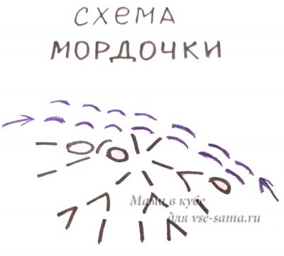 схема мордочки схема мордочки