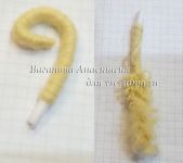 хвостик хвостик