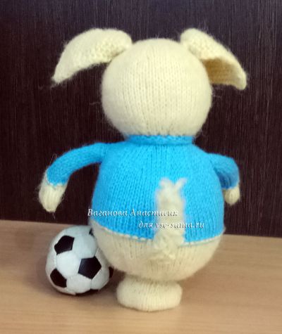 вид сзади вид сзади