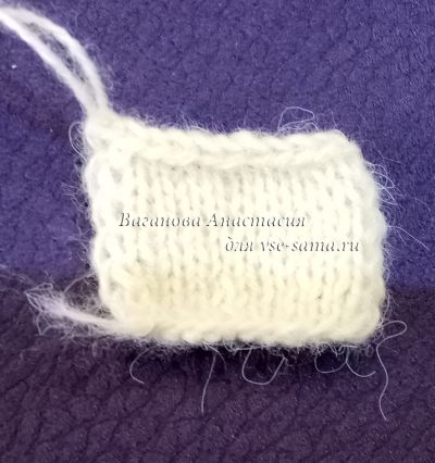 мордочка мордочка