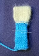 передняя лапа передняя лапа