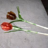 МК - Крокусы из пластиковых бутылок, 6 МК - Крокусы из пластиковых бутылок, 6