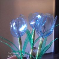 МК - Крокусы из пластиковых бутылок, 7 МК - Крокусы из пластиковых бутылок, 7