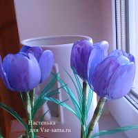 МК - Крокусы из пластиковых бутылок, 8а МК - Крокусы из пластиковых бутылок, 8а