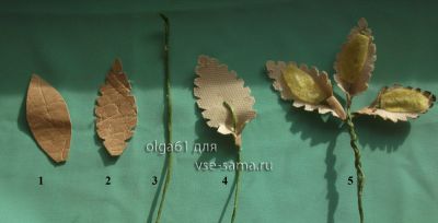 Листья Листья