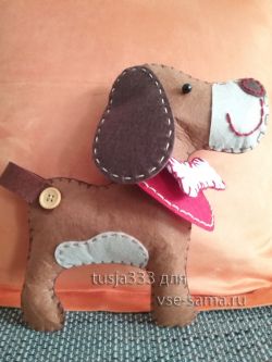 Собака с бантиком, фото Собака с бантиком, фото