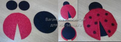 божья коровка божья коровка