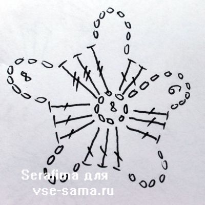 Схема первого ряда фиалки Схема первого ряда фиалки