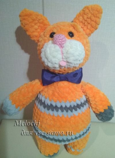 Кот-апельсин готов Кот-апельсин готов