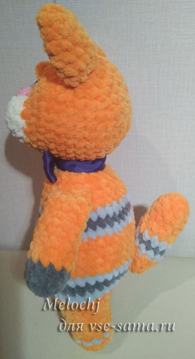 Кот-апельсин сбоку Кот-апельсин сбоку