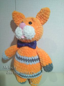 Кот-апельсин, фото Кот-апельсин, фото