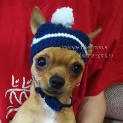 Шапочка для Кекса, фото Шапочка для Кекса, фото