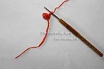 кончик морковки кончик морковки