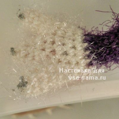 пальцы и подушечки лапы пальцы и подушечки лапы