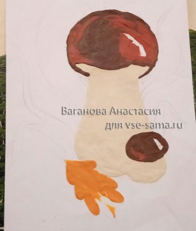 грибы грибы