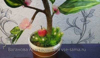 основание дерева основание дерева