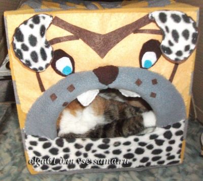 глаза глаза