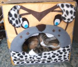 Собачий домик, фото Собачий домик, фото