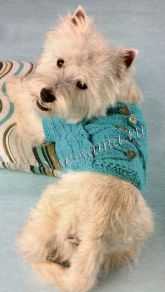 Голубой жилет с пуговицами Голубой жилет с пуговицами