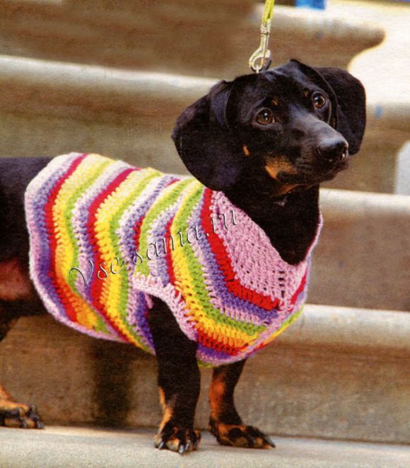 Жилет в полоску Жилет в полоску