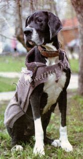 Попона для дога Попона для дога